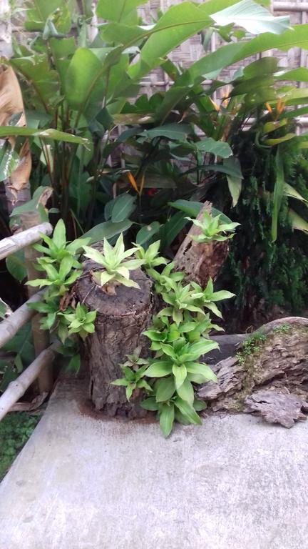 Longchen Homestay Dimāpur 外观 照片