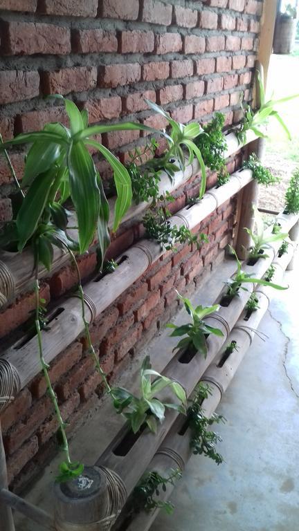 Longchen Homestay Dimāpur 外观 照片